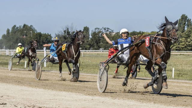 A fost aprobat calendarul curselor de trap pe Hipodromul Ploieşti