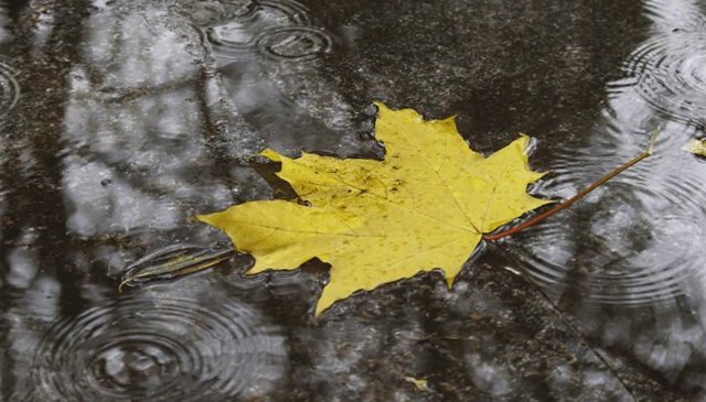 ANM anunță vreme rece pentru această perioadă. Temperaturile scad semnificativ de marți