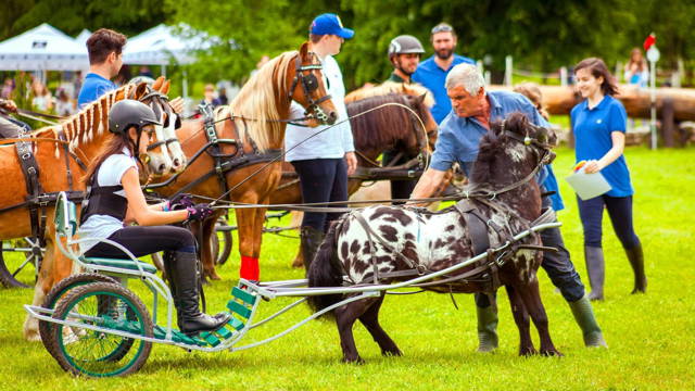 O nouă ediție a Karpatia Pony Show va avea loc în perioada 1-5 iunie în Florești